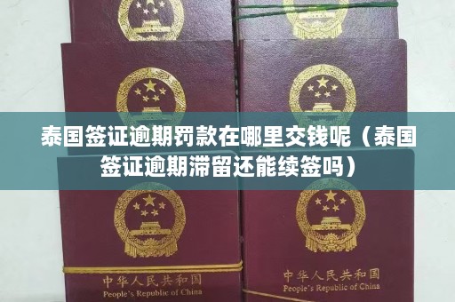 泰国签证逾期罚款在哪里交钱呢（泰国签证逾期滞留还能续签吗）