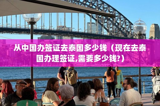 从中国办签证去泰国多少钱（现在去泰国办理签证,需要多少钱?）  第1张