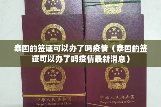 泰国的签证可以办了吗疫情（泰国的签证可以办了吗疫情最新消息）  第1张