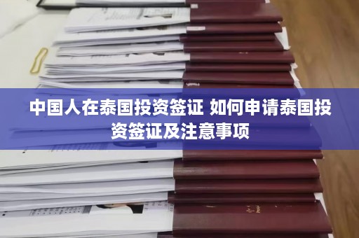 中国人在泰国投资签证 如何申请泰国投资签证及注意事项  第1张