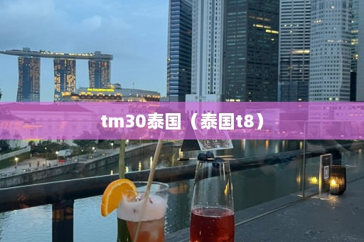 tm30泰国（泰国t8）  第1张