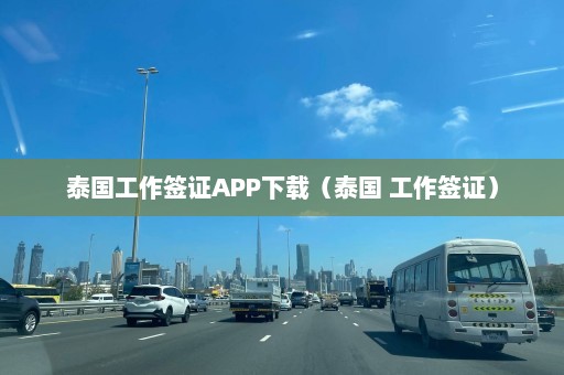 泰国工作签证APP下载（泰国 工作签证）