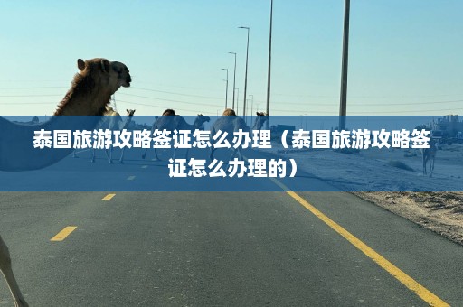 泰国旅游攻略签证怎么办理（泰国旅游攻略签证怎么办理的）