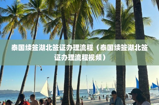 泰国续签湖北签证办理流程（泰国续签湖北签证办理流程视频）