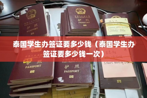 泰国学生办签证要多少钱（泰国学生办签证要多少钱一次）  第1张