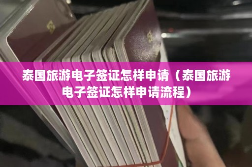 泰国旅游电子签证怎样申请（泰国旅游电子签证怎样申请流程）