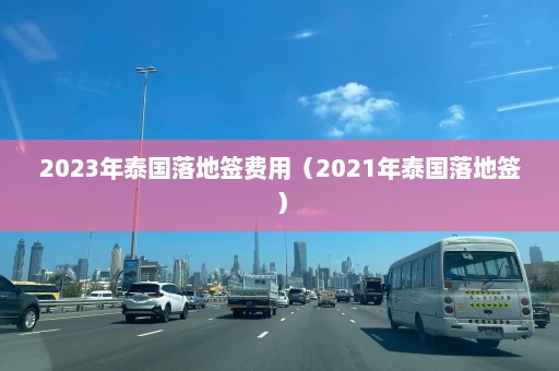 2023年泰国落地签费用（2021年泰国落地签）