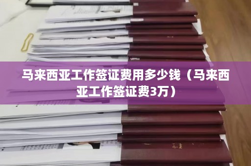 马来西亚工作签证费用多少钱（马来西亚工作签证费3万）  第1张