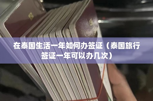 在泰国生活一年如何办签证（泰国旅行签证一年可以办几次）  第1张