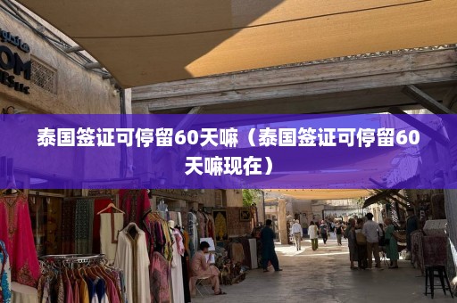 泰国签证可停留60天嘛（泰国签证可停留60天嘛现在）