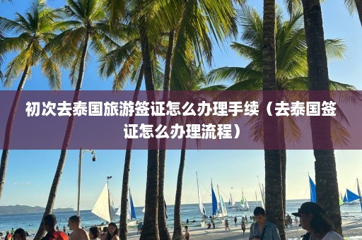 初次去泰国旅游签证怎么办理手续（去泰国签证怎么办理流程）