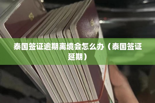 泰国签证逾期离境会怎么办（泰国签证延期）  第1张