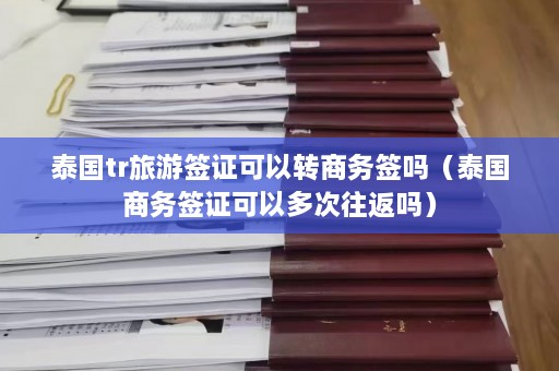 泰国tr旅游签证可以转商务签吗（泰国商务签证可以多次往返吗）  第1张