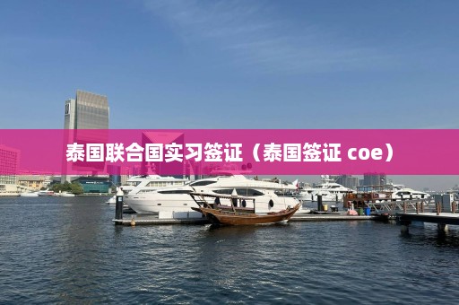 泰国联合国实习签证（泰国签证 coe）