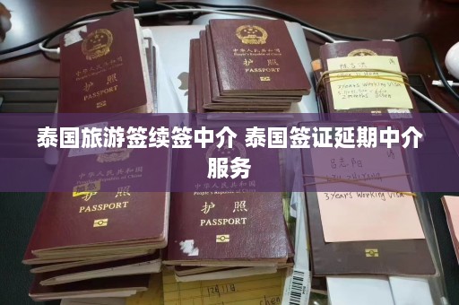 泰国旅游签续签中介 泰国签证延期中介服务  第1张