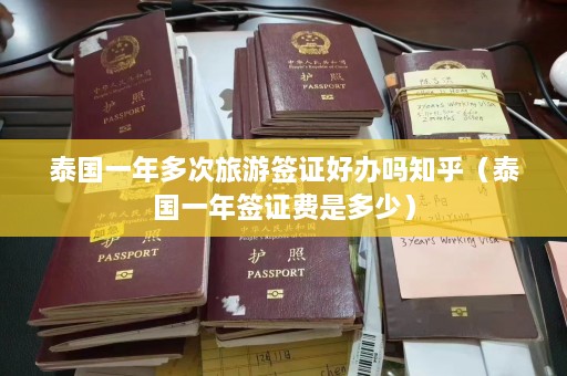 泰国一年多次旅游签证好办吗知乎（泰国一年签证费是多少）  第1张