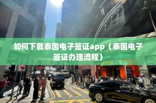 如何下载泰国电子签证app（泰国电子签证办理流程）  第1张