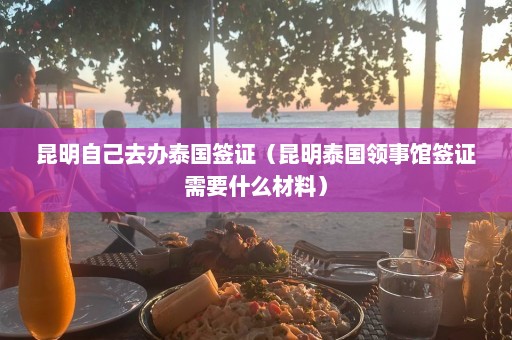 昆明自己去办泰国签证（昆明泰国领事馆签证需要什么材料）