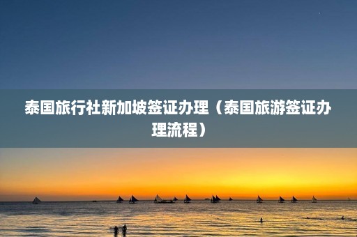 泰国旅行社新加坡签证办理（泰国旅游签证办理流程）