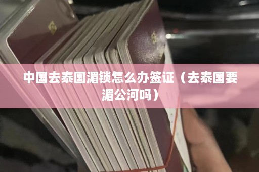 中国去泰国湄锁怎么办签证（去泰国要湄公河吗）  第1张