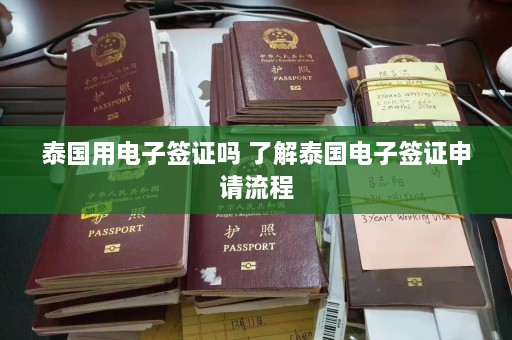 泰国用电子签证吗 了解泰国电子签证申请流程