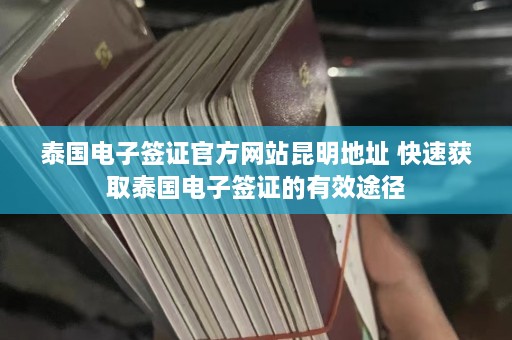 泰国电子签证官方网站昆明地址 快速获取泰国电子签证的有效途径  第1张