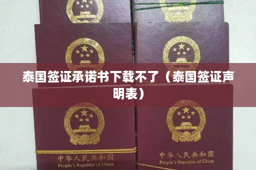 泰国签证承诺书下载不了（泰国签证声明表）