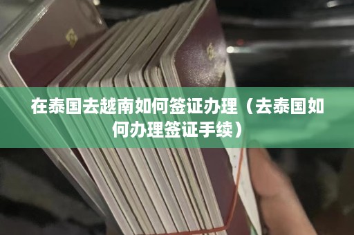 在泰国去越南如何签证办理（去泰国如何办理签证手续）  第1张