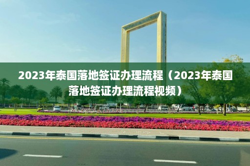 2023年泰国落地签证办理流程（2023年泰国落地签证办理流程视频）