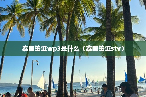 泰国签证wp3是什么（泰国签证stv）