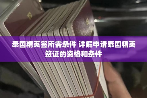 泰国精英签所需条件 详解申请泰国精英签证的资格和条件  第1张