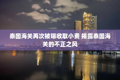 泰国海关再次被曝收取小费 揭露泰国海关的不正之风  第1张