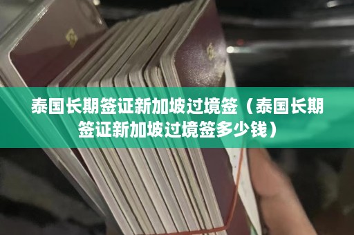 泰国长期签证新加坡过境签（泰国长期签证新加坡过境签多少钱）