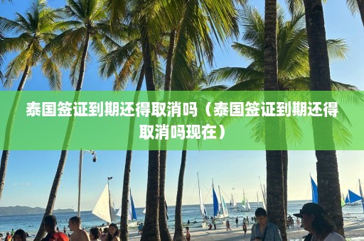 泰国签证到期还得取消吗（泰国签证到期还得取消吗现在）