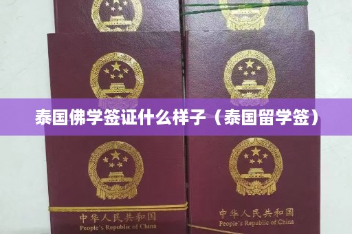 泰国佛学签证什么样子（泰国留学签）