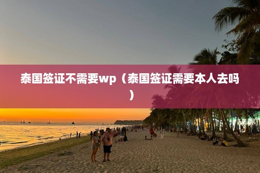 泰国签证不需要wp（泰国签证需要本人去吗）