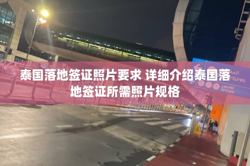 泰国落地签证照片要求 详细介绍泰国落地签证所需照片规格  第1张