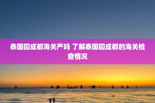 泰国回成都海关严吗 了解泰国回成都的海关检查情况