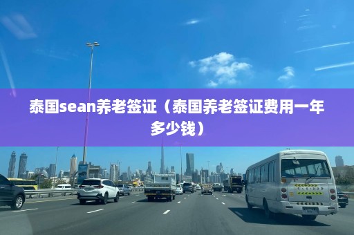 泰国sean养老签证（泰国养老签证费用一年多少钱）