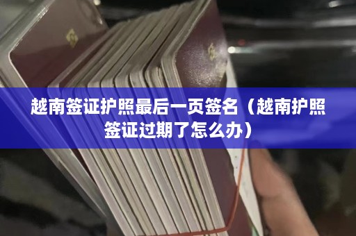 越南签证护照最后一页签名（越南护照签证过期了怎么办）  第1张