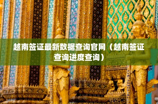 越南签证最新数据查询官网（越南签证查询进度查询）