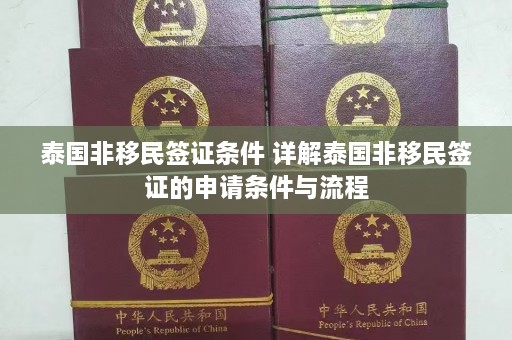 泰国非移民签证条件 详解泰国非移民签证的申请条件与流程  第1张