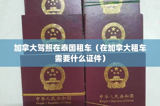 加拿大驾照在泰国租车（在加拿大租车需要什么证件）  第1张