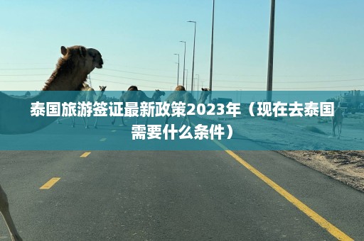 泰国旅游签证最新政策2023年（现在去泰国需要什么条件）