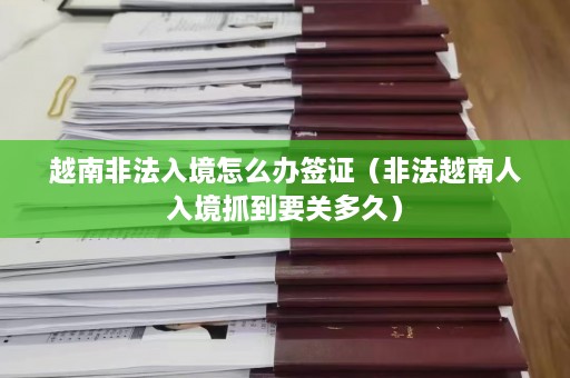 越南非法入境怎么办签证（非法越南人入境抓到要关多久）  第1张