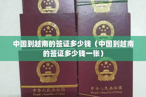 中国到越南的签证多少钱（中国到越南的签证多少钱一张）  第1张