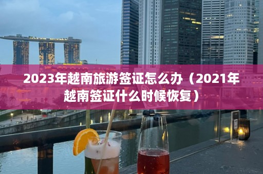 2023年越南旅游签证怎么办（2021年越南签证什么时候恢复）  第1张