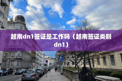 越南dn1签证是工作吗（越南签证类别dn1）  第1张