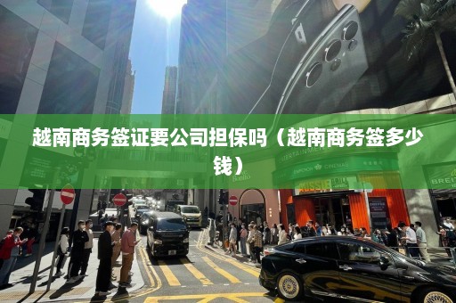 越南商务签证要公司担保吗（越南商务签多少钱）