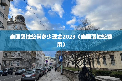 泰国落地签带多少现金2023（泰国落地签费用）